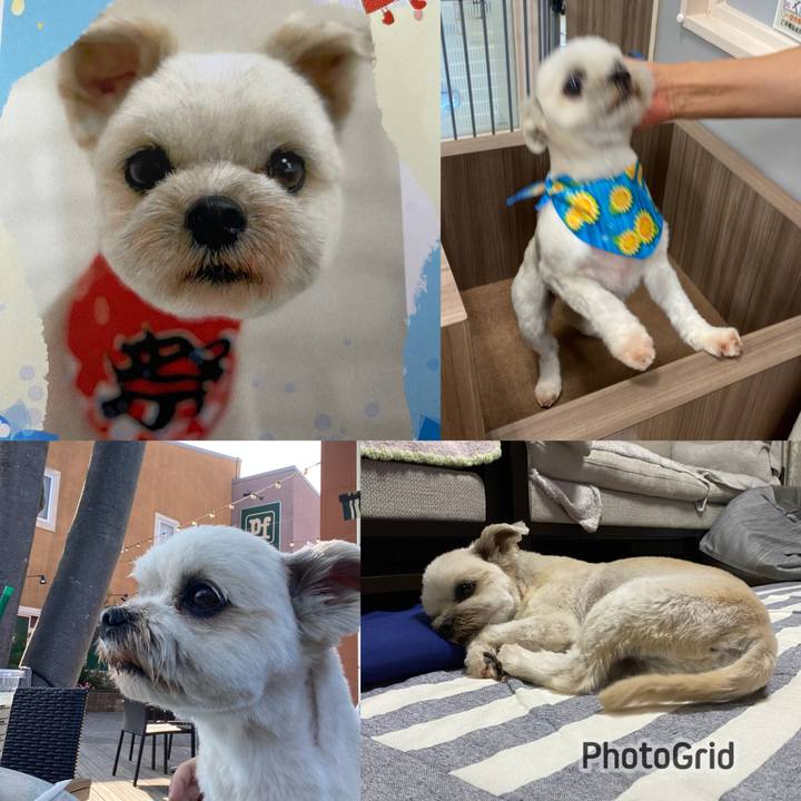 Ce9a7d06 0e1e 4853 a9df 493472897505 1690023862790