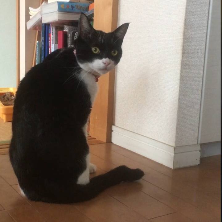 Ce9ac116 a323 41e2 b893 8471b289e45c 1569151080111