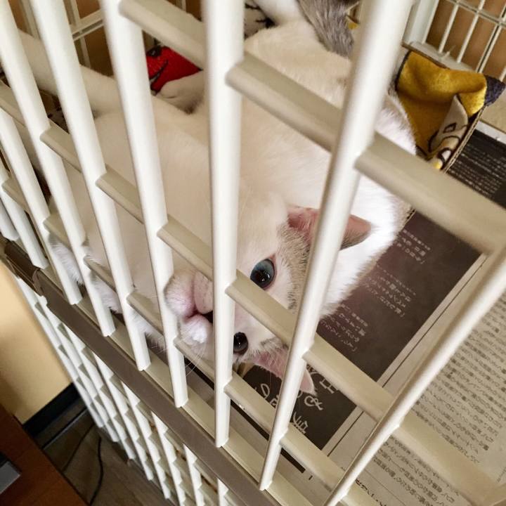 Ce9ace92 a511 409e a6e5 7749afca3f2c 1540182453715