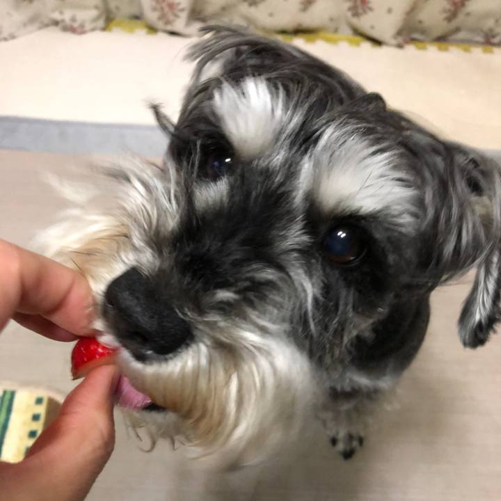 Ce9adac0 ea30 4bde bb8b 205c245dbd35 1652881044370