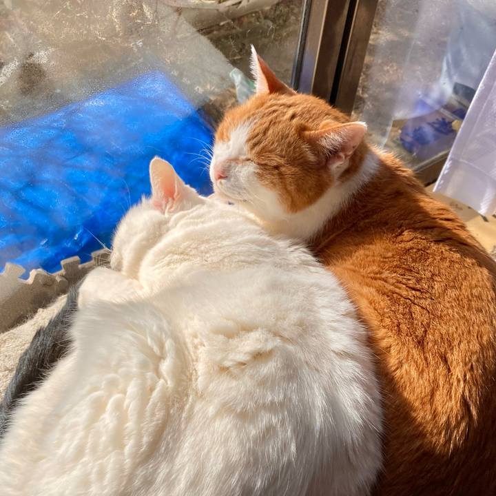 Ce9aea66 08a4 44ff b3e0 7837e46bdcc7 1705123164012