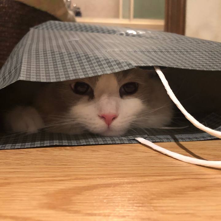 Ce9aec8b 9005 42f7 b24b b822ecafef79 1564896965008