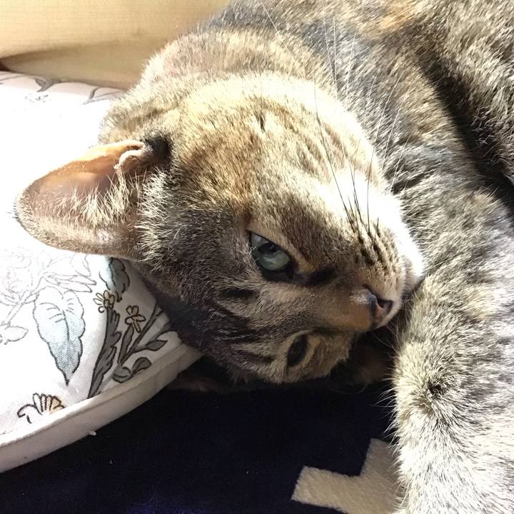 Ce9af1d1 25dd 4e76 905f 3498e2ac59a2 1708238092537