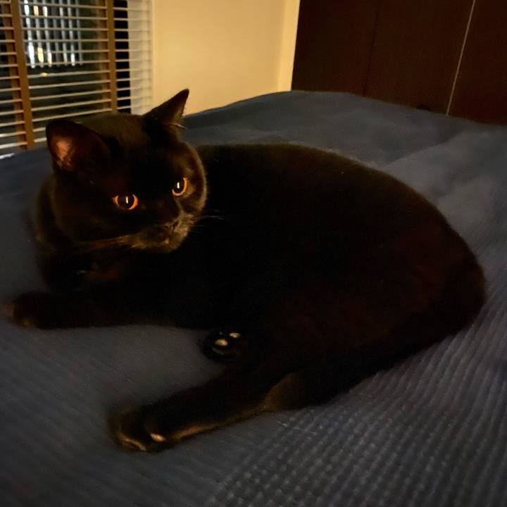 Ce9b0794 9102 42df 8099 0d0eae275c03 1634821555252