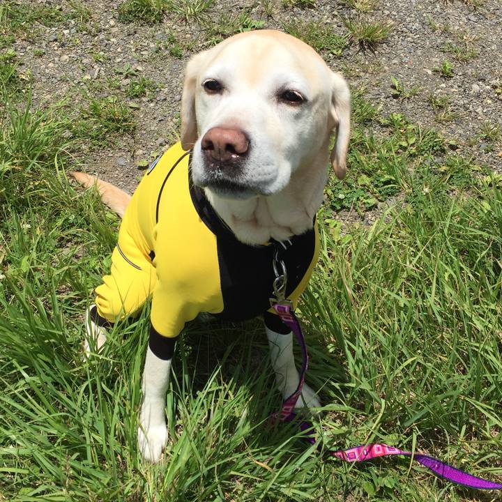 Ce9b3a93 9382 471f bab8 54257a52cc12 1528969363807