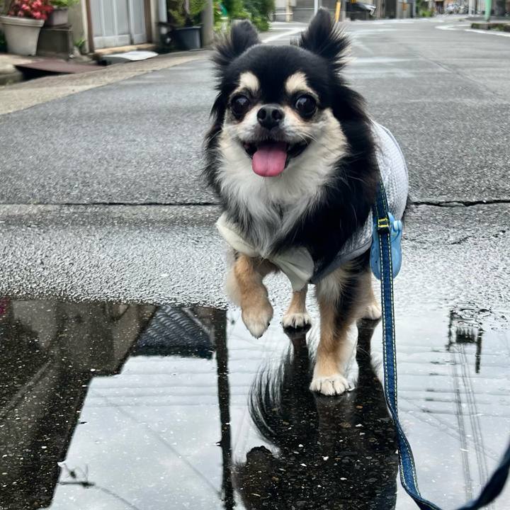 Ce9b5bf2 8e20 463c a5d6 e2e7a426c676 1688172790204