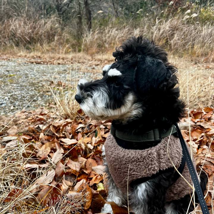 Ce9b766d 5276 4b75 ba92 a99c3c0986c9 1766392384762