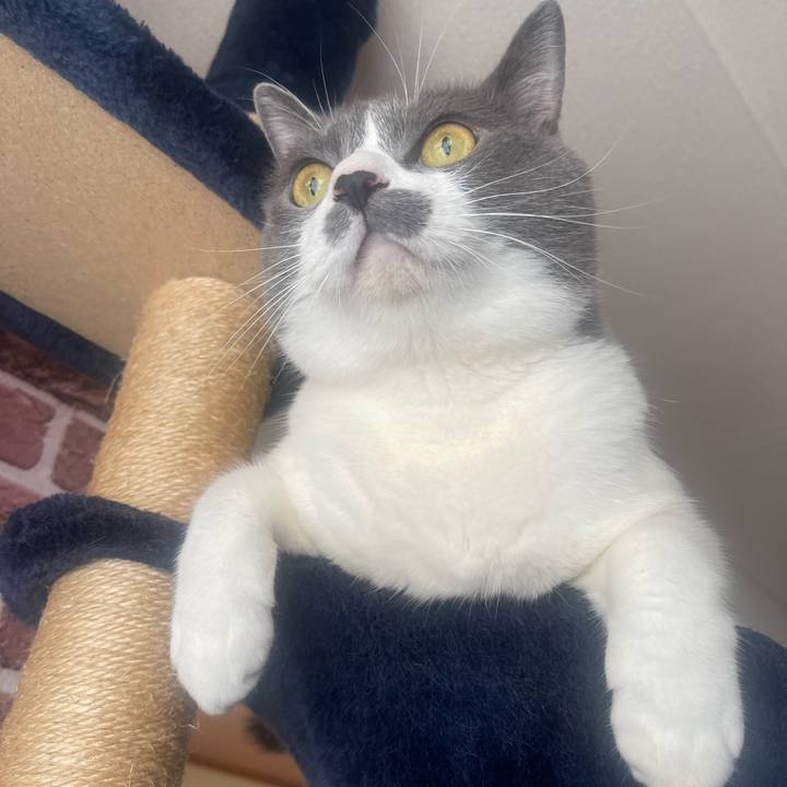 Ce9b8995 a914 4f9b aa28 2bceb3527a26 1722642414762