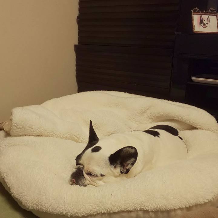 Ce9b982d f0bf 439e 8fa7 0c663606d907 1674729592391