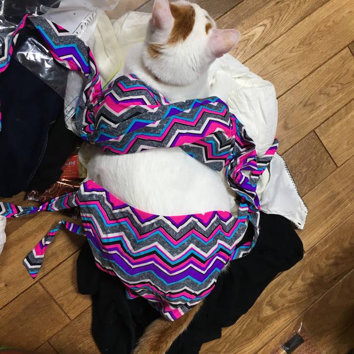 Ce9b99e5 844e 4716 b752 007b0baafe5d 1550810234208