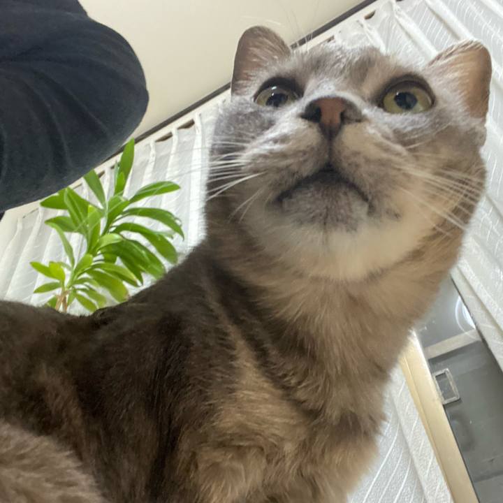 Ce9bd47d 92a3 417f 8a4f 503a9db8a3f4 1584535135089