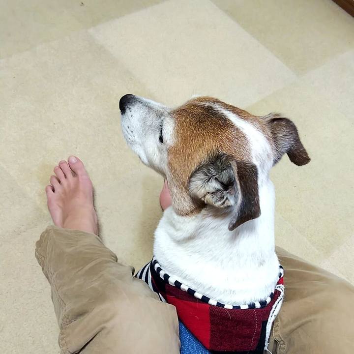 Ce9c0845 dce0 437c b600 b7f220ce9783 1558744295729