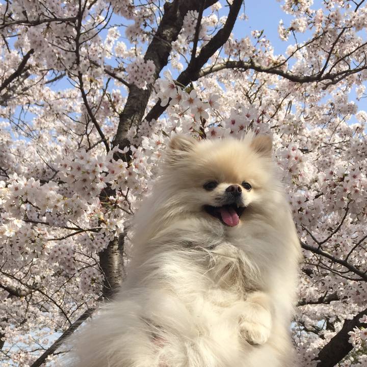 Ce9c17a1 297a 47ae bd94 c1ad12c56384 1522458668157