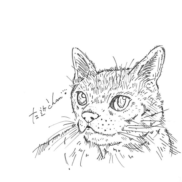 Ce9c28f6 4822 4e04 8f70 a959ce8a81c9 1581692339408