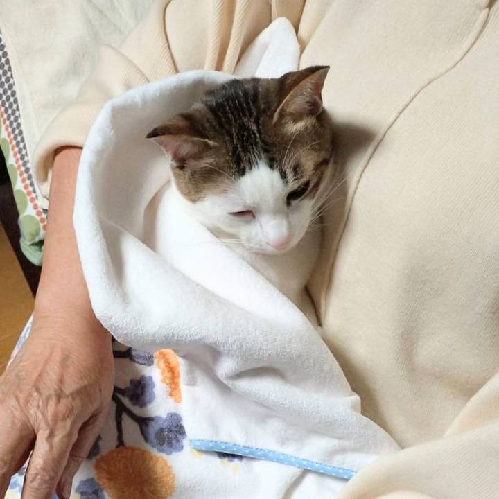 Ce9c31b9 d5e4 4709 96a0 2c4d53d1d39b 1731317274610