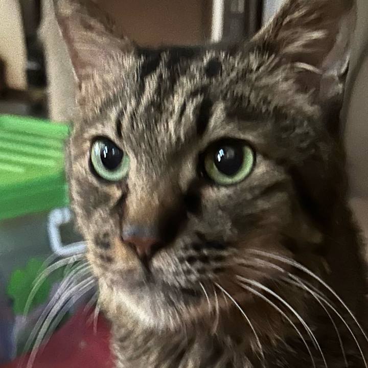 Ce9c5776 9685 495a a203 c33f78cbd3f7 1777072313159