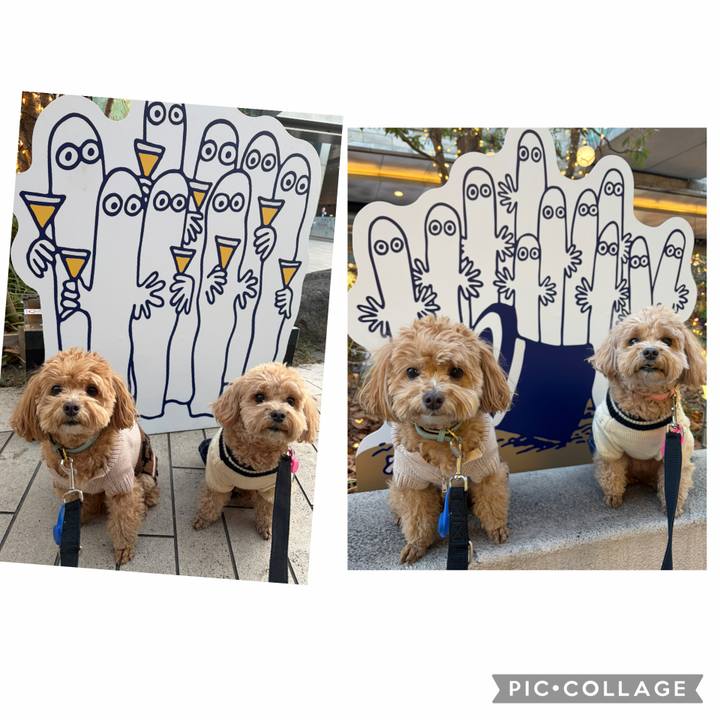 Ce9c58c3 2be0 4a3a a9b2 ae1f2f538f7c 1770370449845