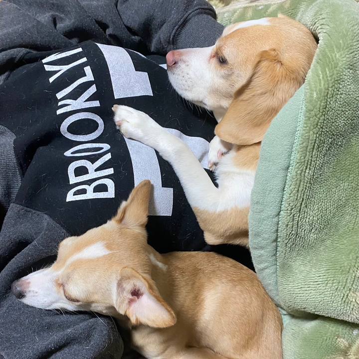 Ce9c75fd d0d8 47d0 b11a 7ee1b8df16d4 1679628024876