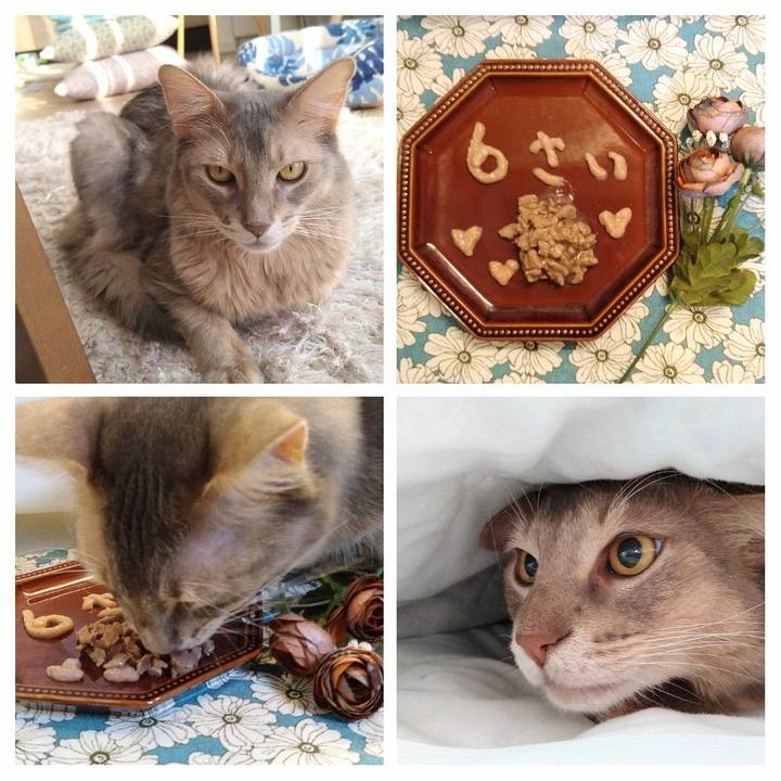 Ce9c7ebe be36 43d0 bb57 5c1be6293d1d 1607244777196