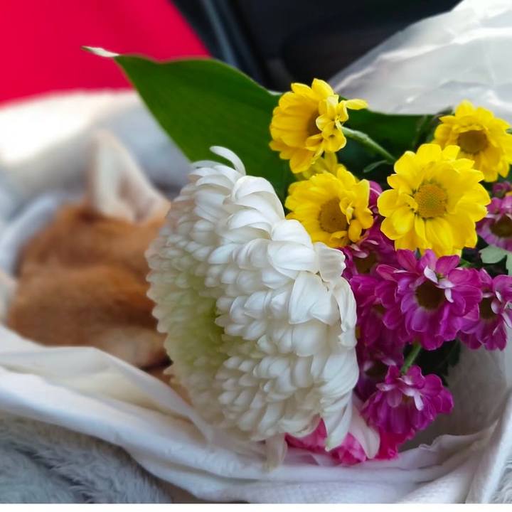 Ce9ca4cf 8714 4e48 b3b1 0be4820f4499 1736983878880