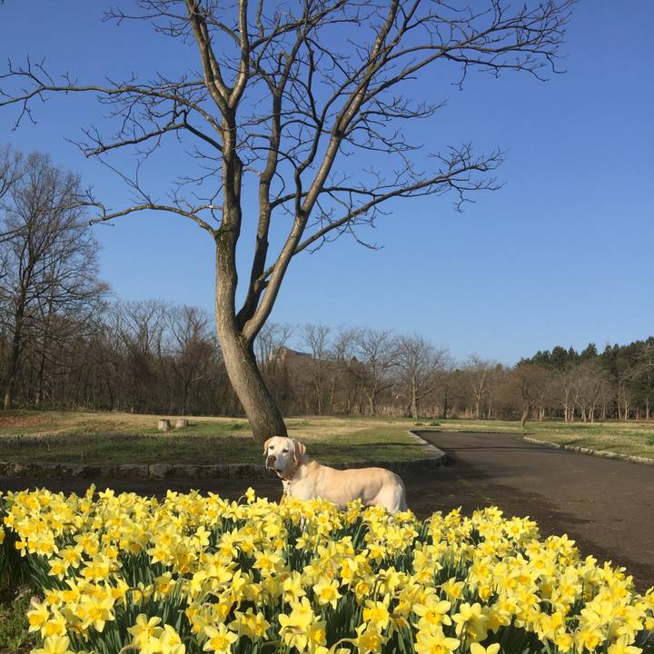 Ce9ce344 68a1 4e79 9f9a 106423b2b1a3 1547299368080