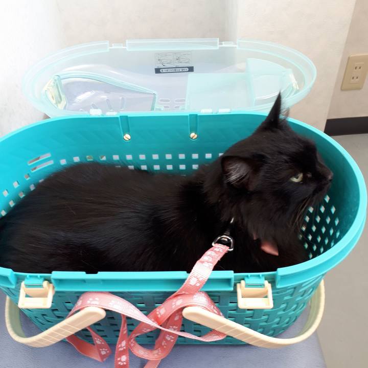 Ce9ce7cb 9c1f 44d9 9966 198179b0f89d 1520107247286