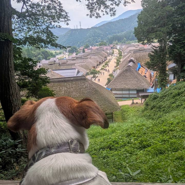 Ce9cf1be 7af5 4f98 8cd4 9ffeb2eeb702 1756295992091