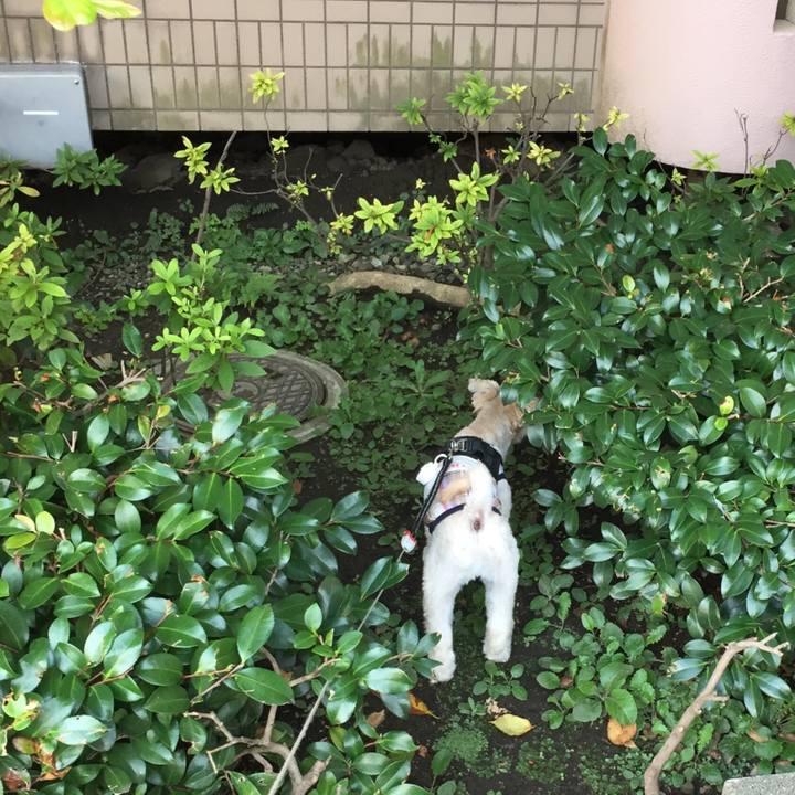 Ce9d6171 84f2 441f 90cb 944802b8bdc2 1534289331119