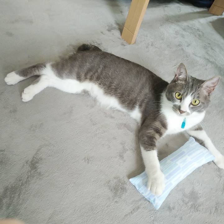 Ce9d6422 aadd 4772 8c0c 3629aa915571 1591057089359