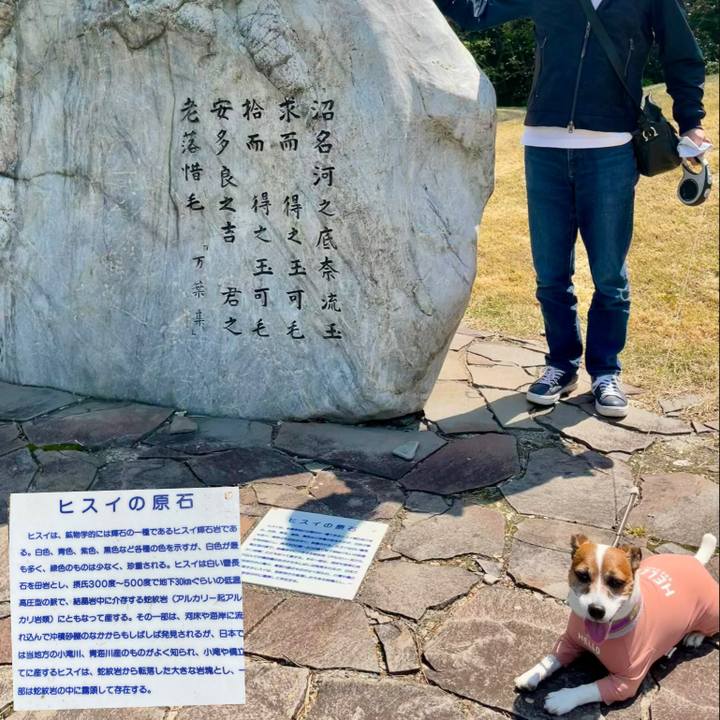 Ce9d7343 c845 48bb a0a4 45eca5e4ec8b 1745633469541