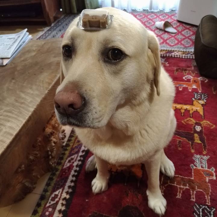 Ce9d9662 5533 4a53 a3f3 0e7beb603d08 1632037701254