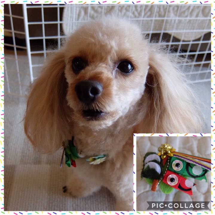 Ce9dc1c2 8fe8 4923 8ccf 6effd3ce8e78 1555800001080