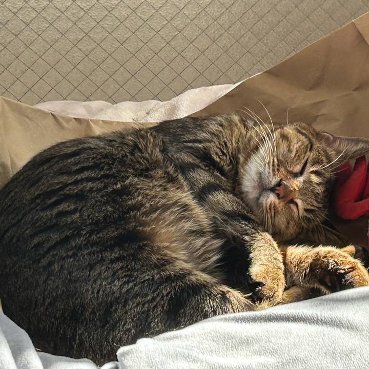 Ce9de1a1 e642 484c 9399 0d9f2e65d28a 1742630652515