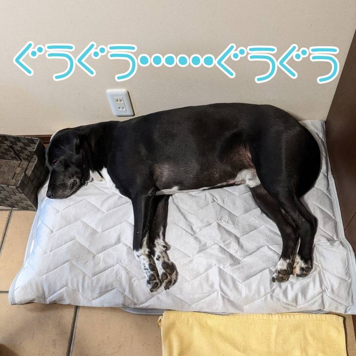 Ce9e0674 6304 413b bbc8 03d2d51f4bf1 1658297376394