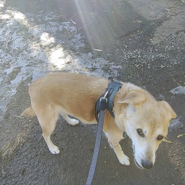 Ce9e38c8 df88 42c5 9e1d 9c5c8fe266fc 1640593964477