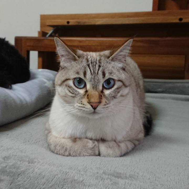 Ce9e6c8f 7124 4da4 bf2c f6927f9646b4 1573036669211