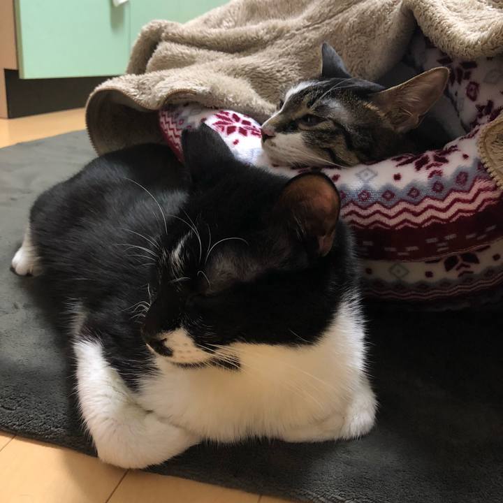 Ce9e95f1 8c8d 40cb b903 0ea94452f86a 1548120982743