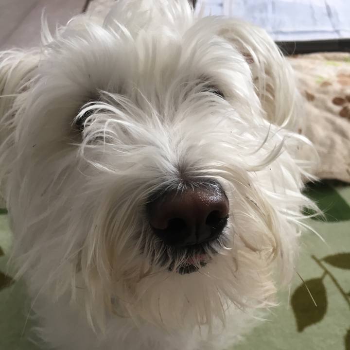 Ce9ea95f 815f 436c 89b2 69f691c03869 1524853799764