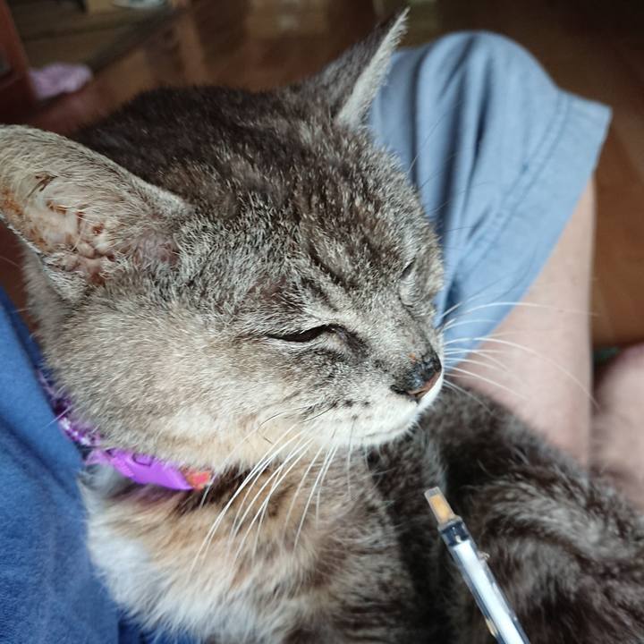 Ce9eb4c9 0463 46a0 9441 d264ed1c0c6e 1597357453580