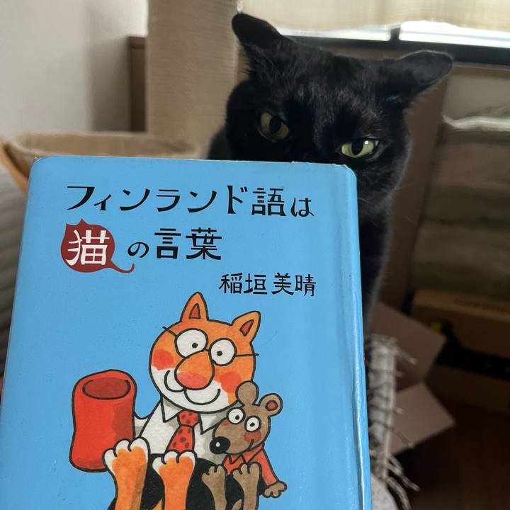 Ce9ed6c5 9781 4035 9e99 fdbbe16d209c 1716431503631