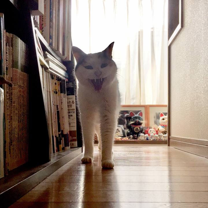 Ce9ee757 a3e1 4eb4 b58f 63d4c443c352 1566456975932