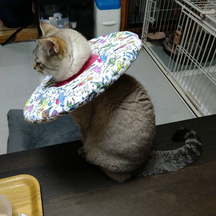 Ce9f2f6d fbab 4fc7 aab7 bbb56aed20ec 1739704542023