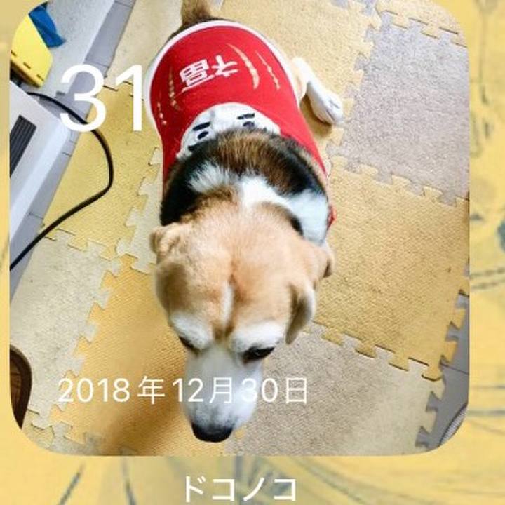 Ce9f6a26 4031 4ae2 a720 6a40f0dde7d8 1703989587620