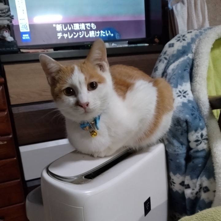 Ce9f88e6 4777 4b9e abc1 0c612b071e6a 1735090944816