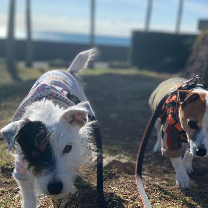 Ce9f95d9 0569 41c6 a92e f08028bbf569 1606530357535