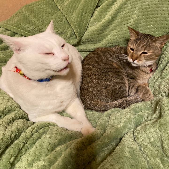 Ce9fa8b7 eee4 44e9 8831 b41335d6c32c 1610888862511