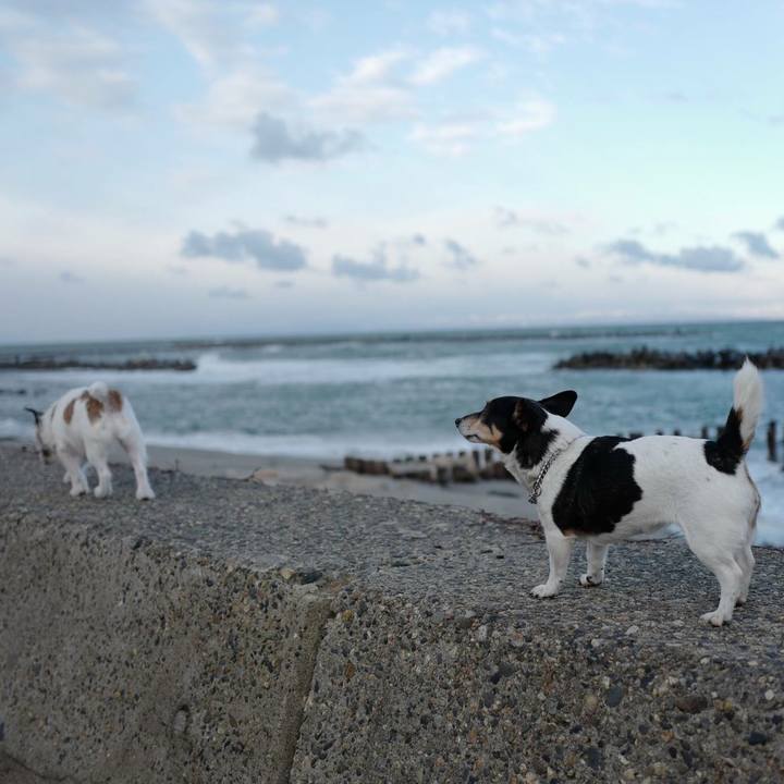 Ce9fe199 1c07 4b31 9c2d 8088b9043c7b 1512794959589