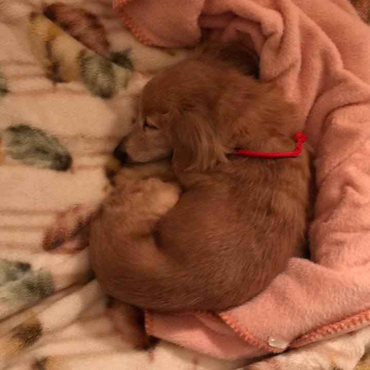 Ce9ff13e 7c90 482a a379 637915583c4c 1519054010433