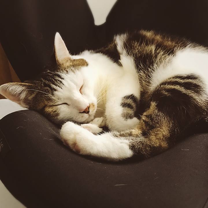 Ce9ffda0 da68 4042 9fdd c039d54955da 1507960363474