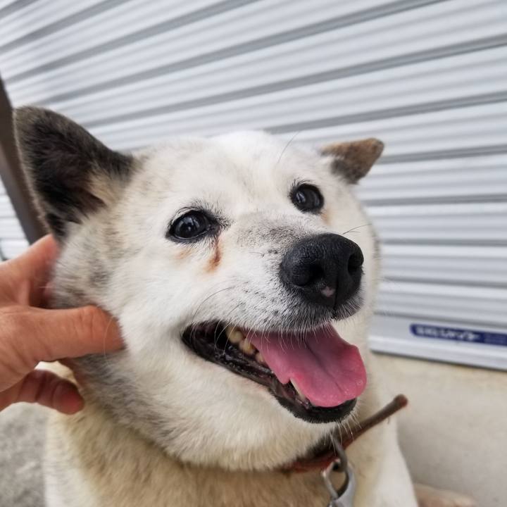 Cea04278 41fb 4a9a 9b40 0661a8f01a99 1719358614785